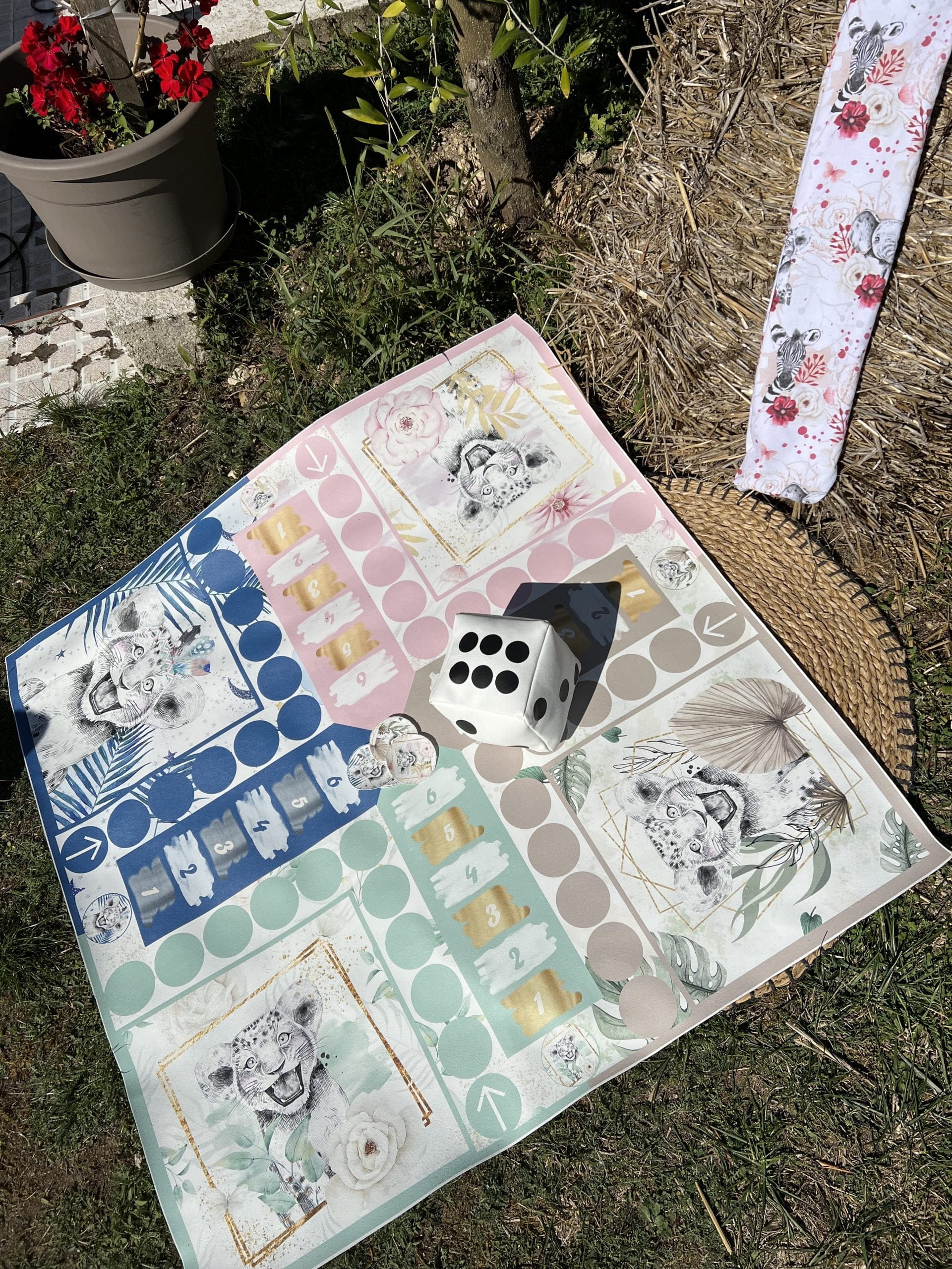 Jeu des Petits Lions – Image 3