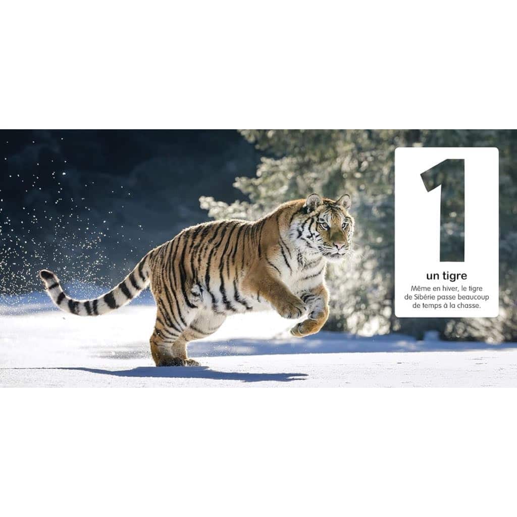Livre Mon premier imagier des animaux “CHIFFRES” – Image 2