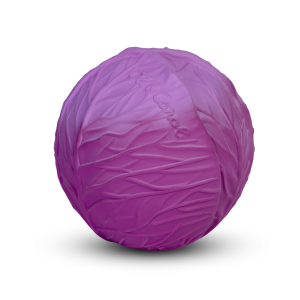 Balle Sensorielle Chou Rouge