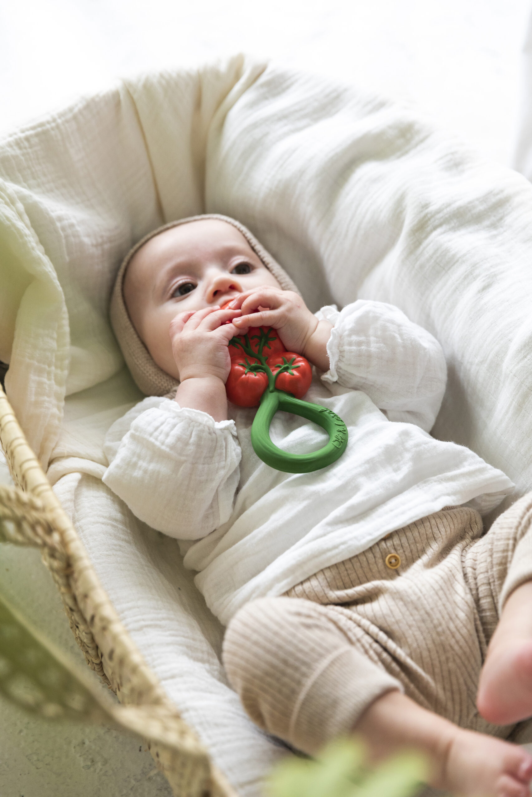 Hochet Tomates – Image 6