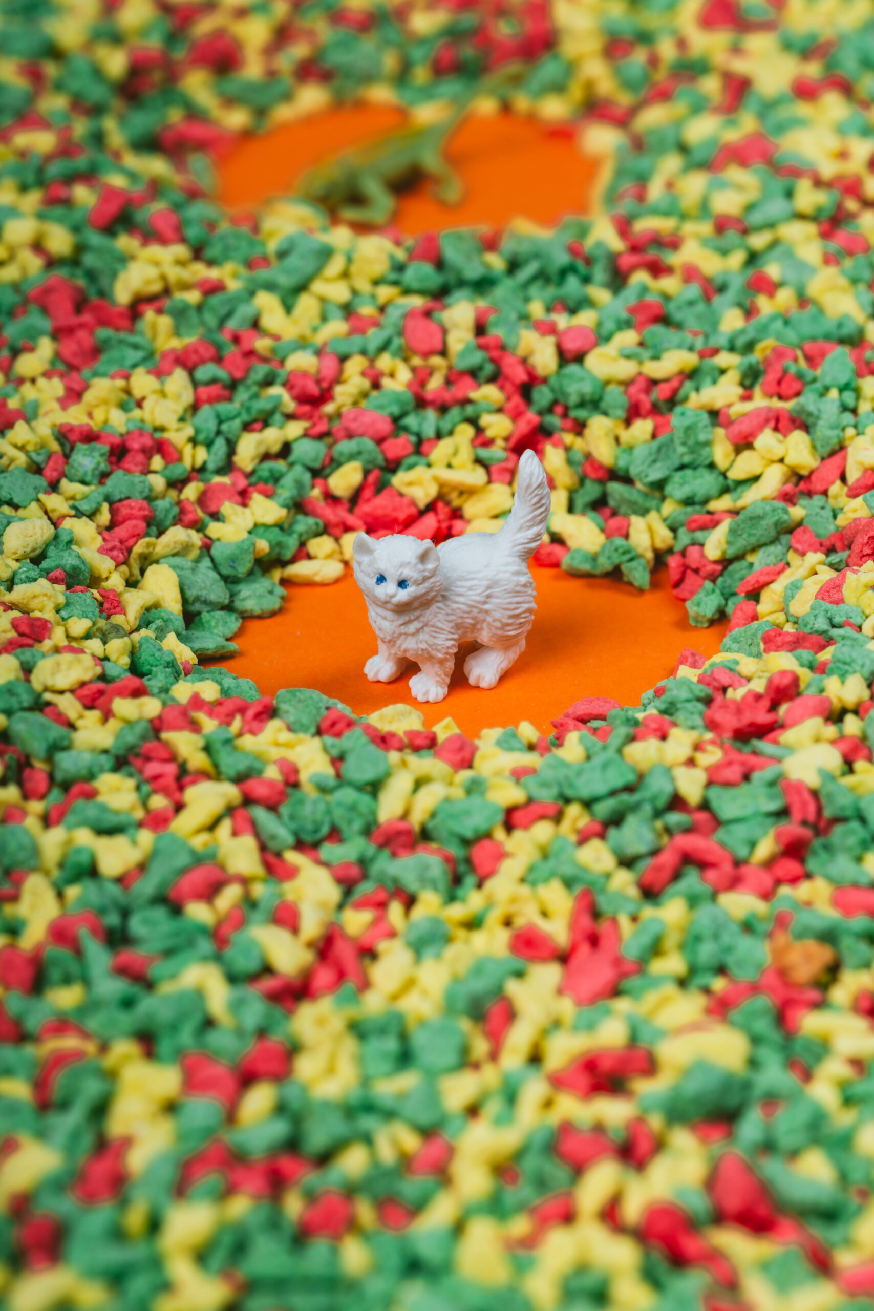 Bouteille Sensorielle – Animaux de Compagnie – Image 3