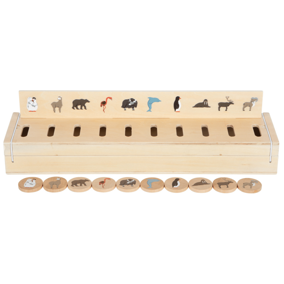 Boîte d’images à trier Explorateur du monde – Image 9