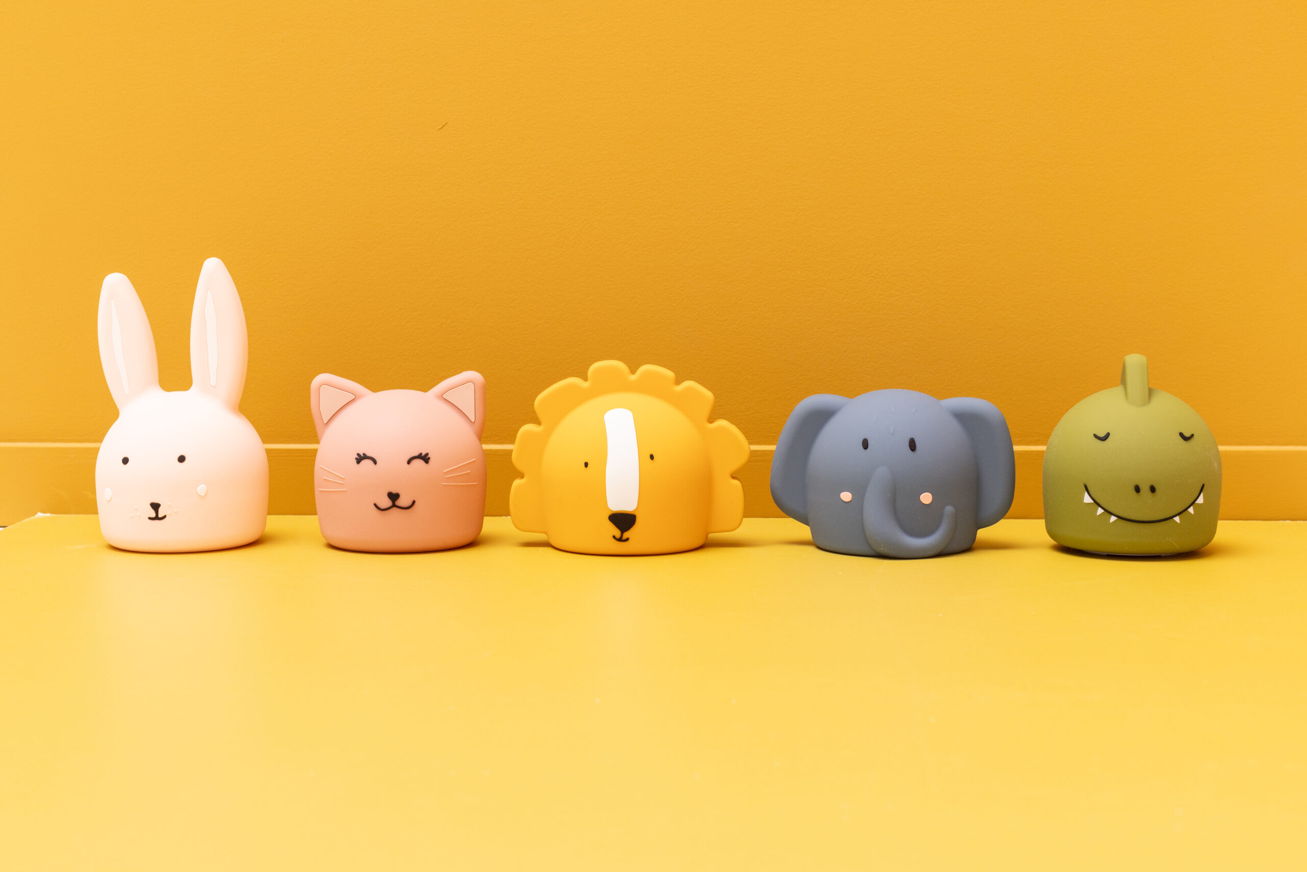 Veilleuse – Mr Lion – Image 5