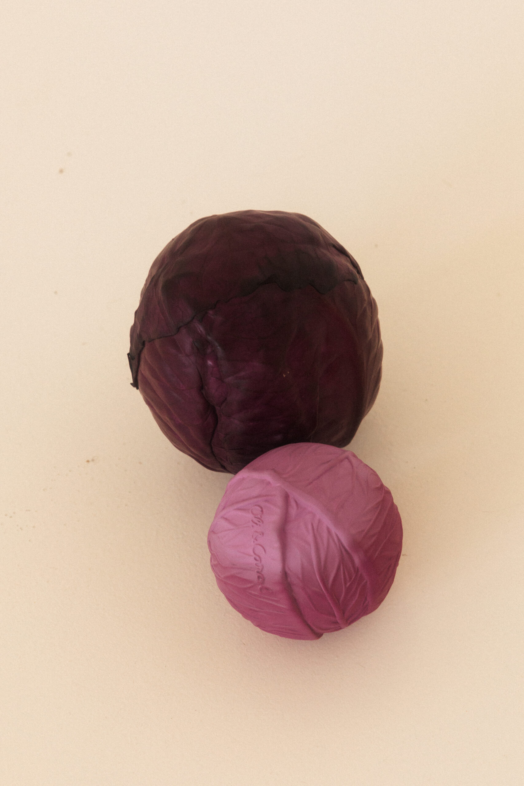 Balle Sensorielle Chou Rouge – Image 5