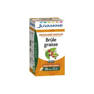JUVAMINE Programme Minceur Brule Graisse Vegan 60 Gelules